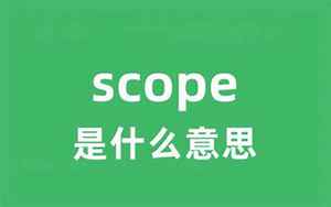 scope什么意思啊(scope是什么意思)