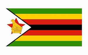 津巴布韦共和国(津巴布韦共和国的解释和发音)