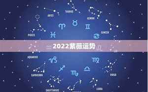 2022紫薇星座运势(紫薇星2022年运势)