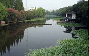丽娃河(上海华东师范大学内丽娃河的传说丽娃河)