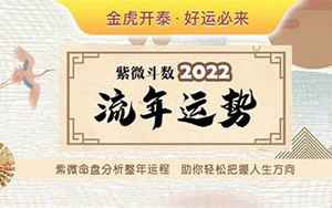 2022紫薇斗数运势(紫微看2022年运势)