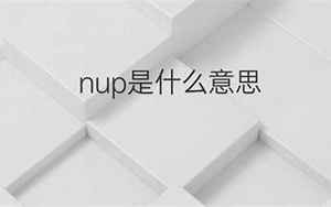 nupt(NUPT是什么意思)