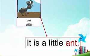 ant怎么读(ant的读音是什么)