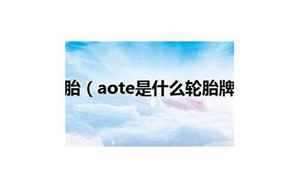 aote(aote是什么意思)