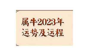 2022牛人健康运势运程(属牛人2022年全年运势)