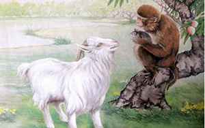 猴和羊属相合不合(羊和猴婚配怎么样)