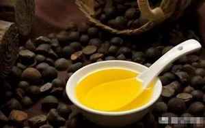 山茶油(山茶油营养价值有哪些)