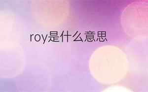 roy什么意思(roy怎么翻译及发音)