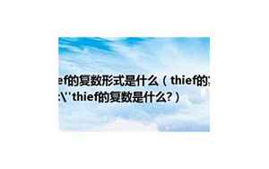 thief复数(请问thief的复数是什么)