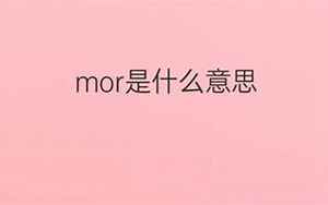mor(MOR是什么意思)