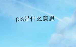 pls是什么意思(pls的中文翻译、读音、例句)