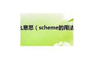 schemer(schemer是什么意思)
