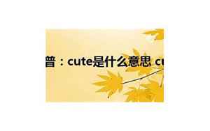cute翻译(CUTE是什么意思)
