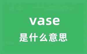 vase怎么读(vase是什么意思)
