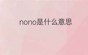 nono是啥意思(nono是什么意思中文翻译)