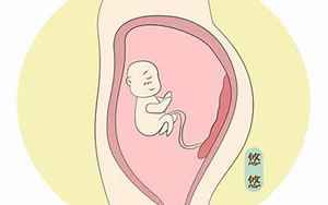 胎盘影响宝宝的运势(孕妇的胎盘处理会关系到孩子的命运吗)