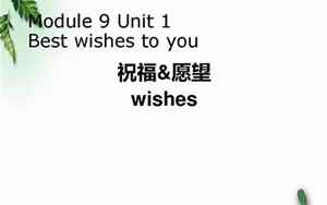 wishes什么意思(wishes的意思是)