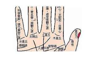 手掌有痣代表什么(手掌有痣代表的三大含义)