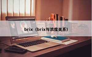 brix(brix是什么意思)