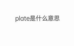 plate的中文(Plate是什么意思)