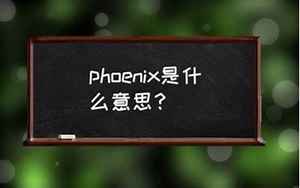 phx是什么意思(PHX是什么意思)