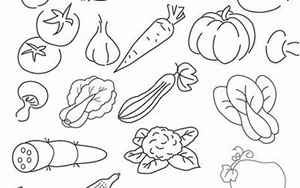 蔬菜简笔画(100种蔬菜简笔画)
