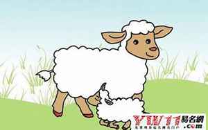 属羊的哪年出生的(属羊是哪一年出生的)
