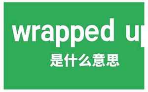 wrapup(wrapup是什么意思)