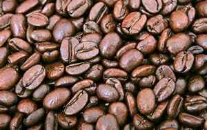 咖啡豆和可可豆(咖啡豆和可可豆的区别)