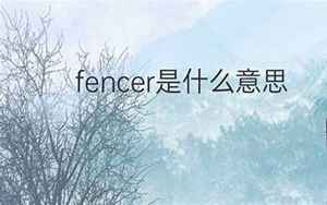 fencer(fencer是什么意思中文翻译)