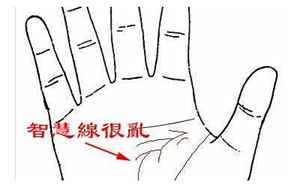 手掌手纹代表什么运势(手掌纹路运势解析)