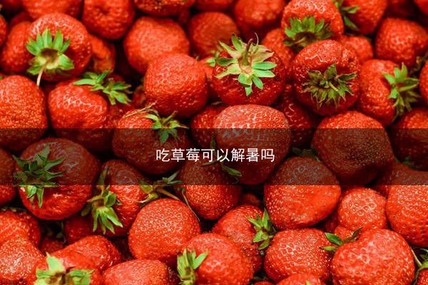 吃草莓可以解暑吗