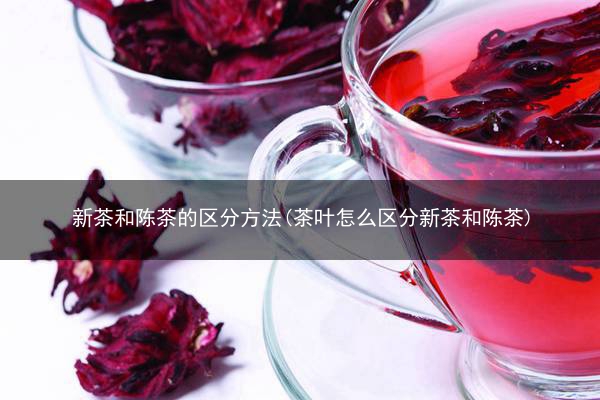 新茶和陈茶的区分方法(茶叶怎么区分新茶和陈茶)