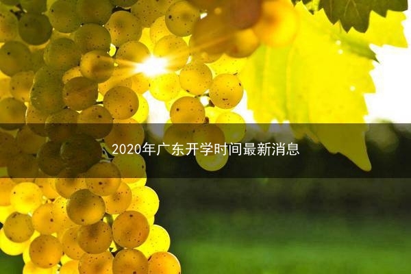 2020年广东开学时间最新消息(2020年广东开学时间最新消息公布)